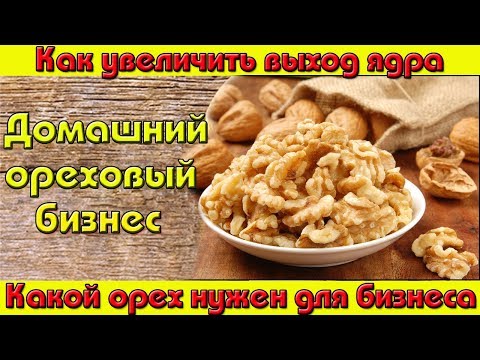 Видео: Выбор ореха для бизнеса /// Как увеличить выход ядра.