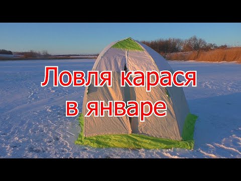 Видео: Зимняя рыбалка на карася ( Январь) , ловля в палатке. My fishing