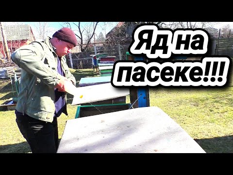 Видео: Химия на пасеке! Обработка от клеща эко химией. Все о пчеловодстве.