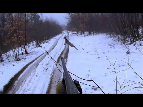 Видео: Отличная зимняя охота.  Загонная охота.  Трофей просто удивил! Круто нет слов!