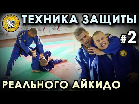 Видео: Техника Реального Айкидо: семинар Владимира ВОКИЧА – 2.