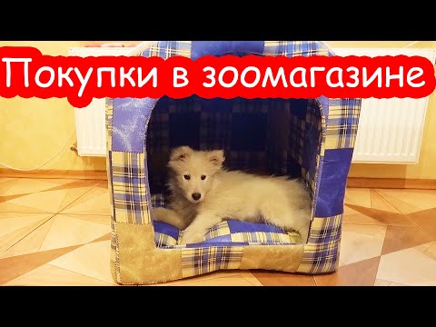Видео: Купили Умке лежанку
