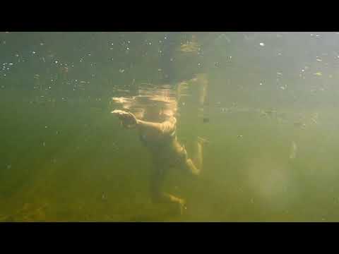 Видео: Река Орь. Подводный мир.