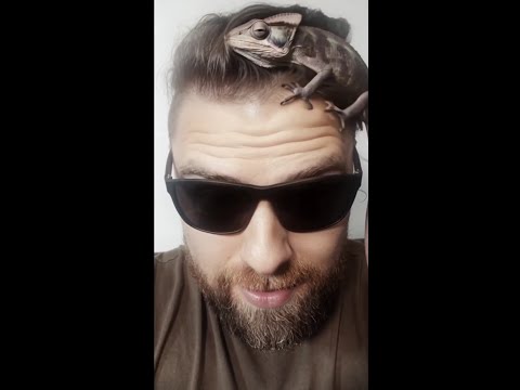 Видео: Милая моя — авторская песня | Rock Izba | Рок Изба | Official Music Video