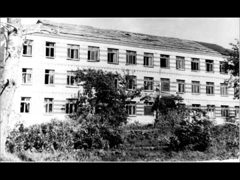 Видео: ураган в Чувашской Республике с Порецкое июнь 1996г