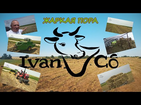 Видео: Сгребание. Прессование.  Agromech & Трактор Shifeng SF-354 & Пресс-подборщик John Deere 330.