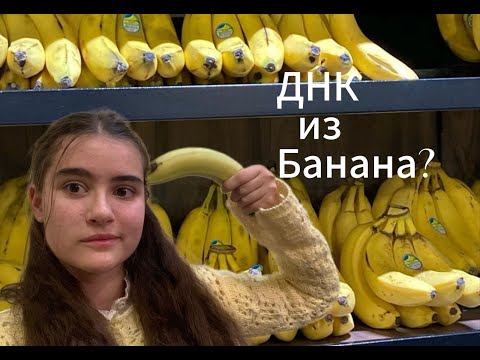 Видео: Как синтезировать ДНК из банана
