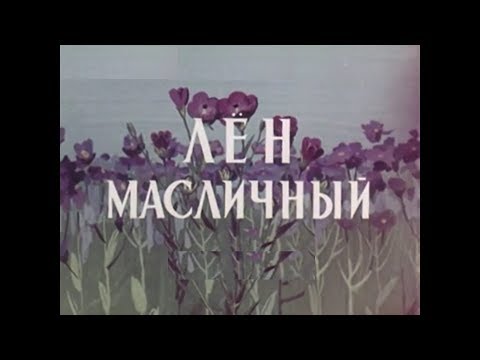 Видео: Лен масличный