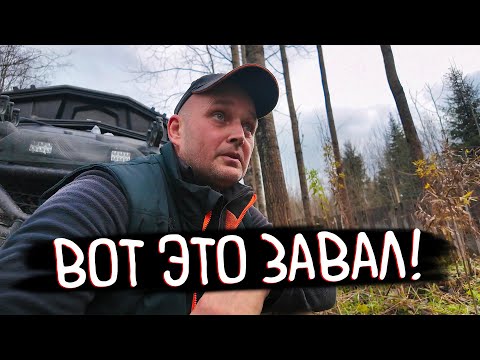 Видео: РЫБАЛКА ПОД УГРОЗОЙ: Битва с бобровыми завалами и срочный ремонт пилы