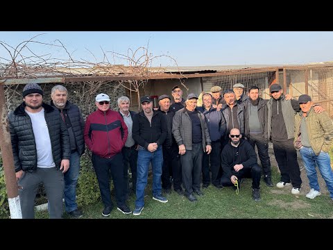 Видео: Соревнования голубей! Голуби Мурада! #göyərçin #pigeon #tauben #kabootar #голуби 