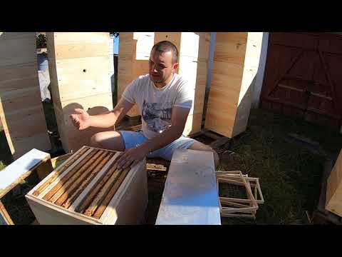 Видео: #Вулик 10р. 300 + 145 і моя робота з ним #бджільництво #beekeeping #пчеловодство
