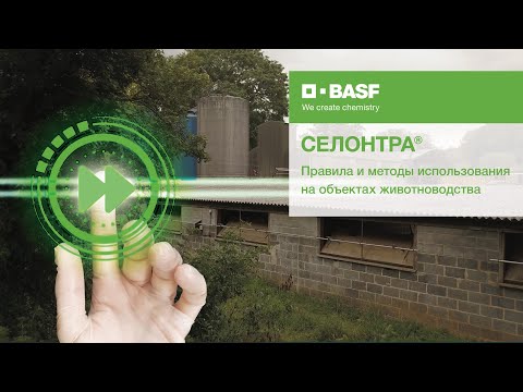 Видео: СЕЛОНТРА® – новый родентицид. Ликвидация грызунов за 7 дней на объектах животноводства
