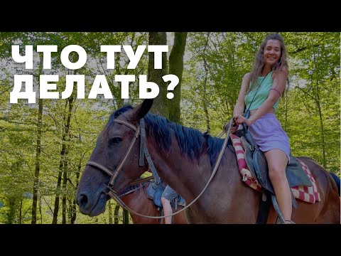 Видео: Сочи Конная прогулка| Самшитовый лес| Лето 2021| Цены на экскурсию