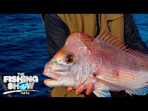 Видео: Ловля люциана: на что обратить внимание при выборе наживки и приманки.