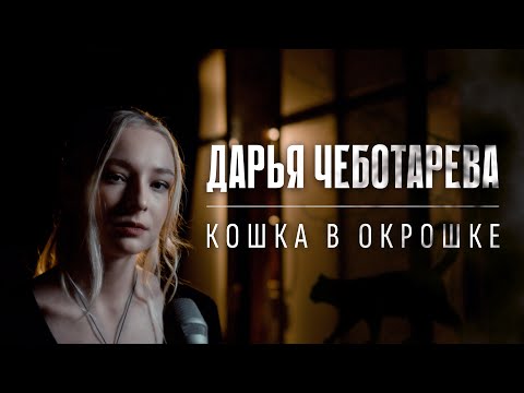 Видео: Дарья Чеботарева - Кошка в окрошке (Веня Дркин) Кавер 2023