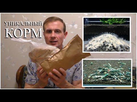 Видео: Уникальный и единственный корм и бактерии для аквариумных креветок  Больше не нужно разбираться