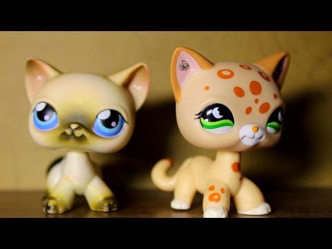 Видео: LPS: КАК ОТЛИЧИТЬ ОРИГИНАЛ ОТ 3Д? ПОДДЕЛКА LPS?