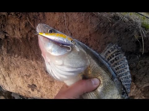 Видео: Ловля судака на воблеры. Береговой джиг