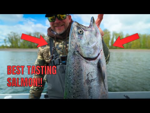 Видео: 48 часов весенней рыбалки на лосося! (Поймай и приготовь)