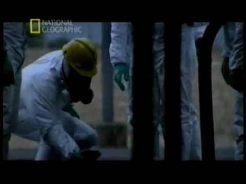 Видео: Секунды до катастрофы "Фукусима"
