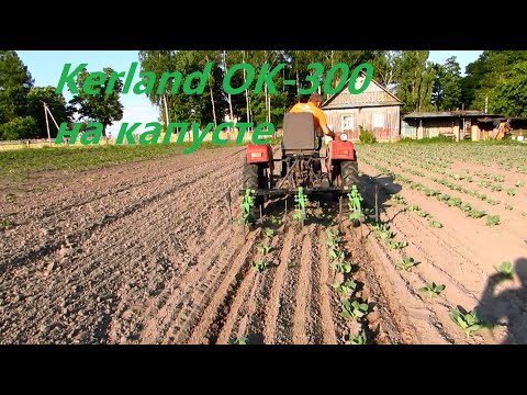 Видео: Прополка капусты культиватором-окучником Kerland OK-300.