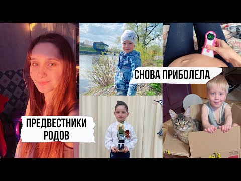 Видео: 37 недель беременности 🤰🏻Предвестники, приболела 🤧опять