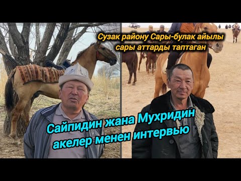 Видео: Сузак району Сары-булак айылы Сайпидин жана Мухридин акелер менен интервью 🇰🇬🐎