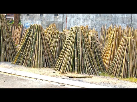 Видео: Фабрика бамбука во Вьетнаме. Удивительный процесс работы!