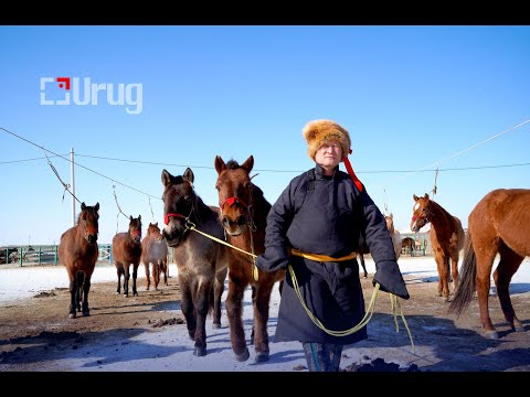 Видео: ТОД МАНЛАЙ УЯАЧ Б.БАТ-ӨЛЗИЙ ХУРДАН МОРИЙГ ХЭРХЭН ШИНЖДЭГ ВЭ