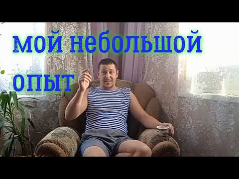 Видео: Не покупайте дешовых поросят