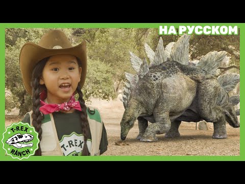 Видео: Часы для путешествия во времени | Загадочное устройство рейнджера Зои |Ти-рексы- Динозавры для детей