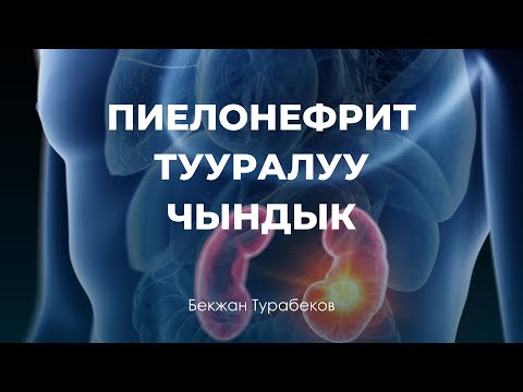 Видео: Пиелонефрит тууралуу чындык