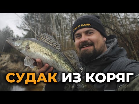 Видео: ЛОВЛЯ СУДАКА НА ЛЕГКИЙ ДЖИГ ВЕСНОЙ С БЕРЕГА В КОРЯГАХ