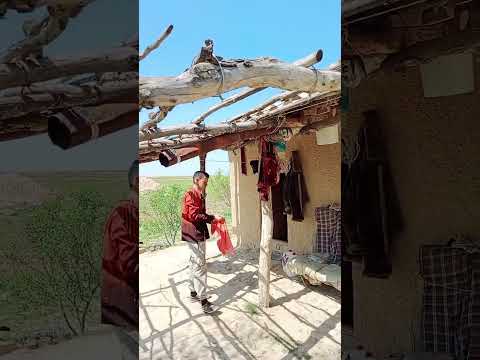 Видео: Tajikistan Khujand Devashtich Gazantarak #gazantarak #газантарак #таджикистан #душанбе #samarqand