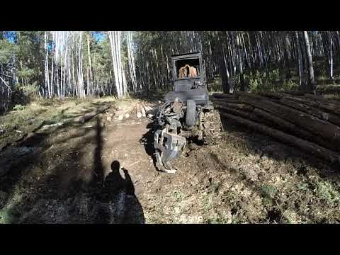 Видео: СУПЕР ОТВАЛ НА ДТ-75 лесорубы ВНИМАНИЕ😊👍
