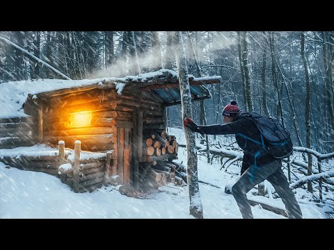 Видео: СПАСАЮСЬ ОТ СИЛЬНОГО СНЕГОПАДА В ЗЕМЛЯНКЕ | Что с ней случилось за 8 месяцев? | Пицца в печи