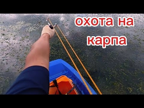Видео: Настрылял 40кг. От этих сазанов леска режит пальцы. 