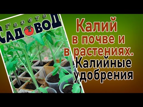 Видео: КАЛИЙ В ПОЧВЕ И В РАСТЕНИЯХ. Калийные удобрения