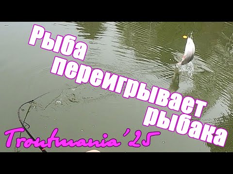 Видео: Рыба переигрывает рыбака