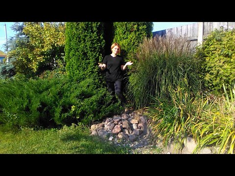 Видео: Осень - пора декоративных злаков