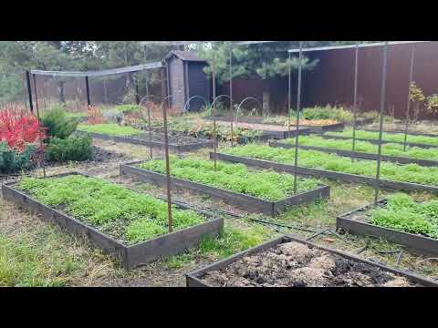 Видео: УЧАСТОК 2 НОЯБРЯ. ПЛАН РАБОТ. ИНФОРМАЦИЯ ПО ЗАКАЗАМ.