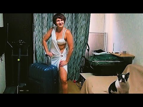 Видео: В ПУТЬ | Последние приготовления | Обновки с Wildberries | На пляже буду самая красивая💥