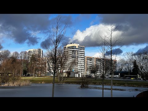 Видео: @Городоцька-Наукова, Львів. Маршрут для водіїв-початківців. Знаки, світлофори, дорожня розмітка.