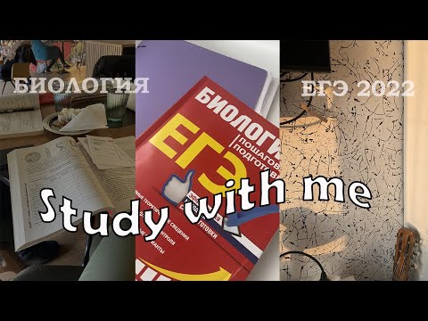 Видео: Study with me|подготовка к ЕГЭ|учусь 24 часа|мотивация