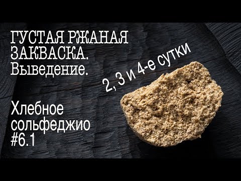 Видео: Хлебное сольфеджио #6.1. Густая ржаная закваска. Продолжение. 2,3,4 сутки выведения