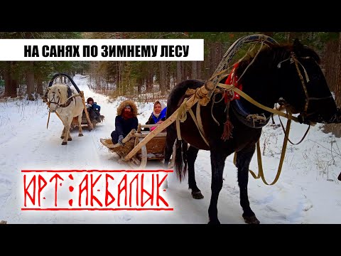 Видео: По зимнему лесу на санях