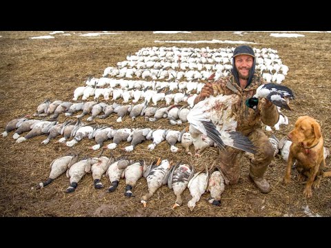 Видео: Рекордная охота за мной и моими гидами!!!