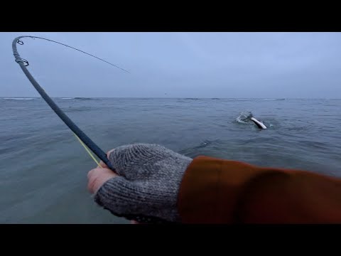 Видео: Нахлыстовая рыбалка в воде, близкой к льду. Как она может быть настолько хороша?