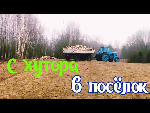 Видео: Возим дрова на тракторе МТЗ-52. Latvian village#влог#жизньвдеревне#деревенскиймужик