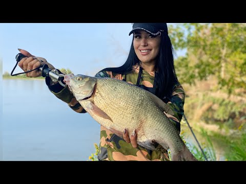 Видео: ДОНКИ среди коряг и деревьев! Нам поперло сразу! Рыбалка на Иртыше 2021